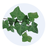 ACTIRHINO_SPRAY_Ingredients - Copy
